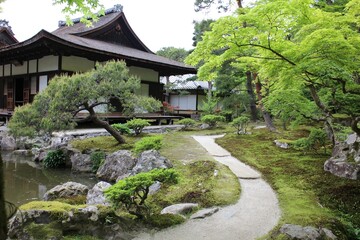 Moss garden in Ginkakuji Temple in Kyoto, Japan