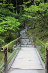 Fototapeta premium Moss garden in Ginkakuji Temple in Kyoto, Japan