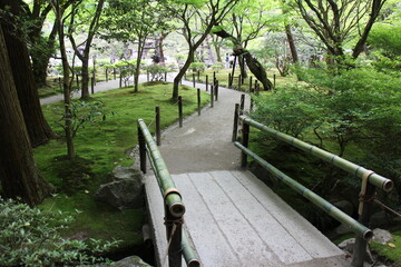 Moss garden in Ginkakuji Temple in Kyoto, Japan