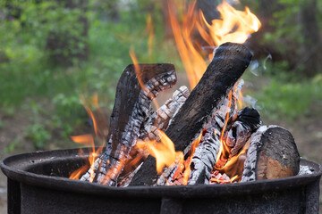 Round barbecue with burning firewood and fire in the forest