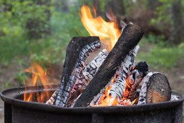 Round barbecue with burning firewood and fire in the forest