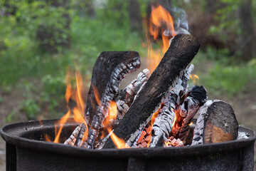 Round barbecue with burning firewood and fire in the forest