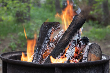 Round barbecue with burning firewood and fire in the forest