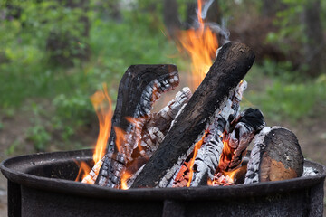 Round barbecue with burning firewood and fire in the forest