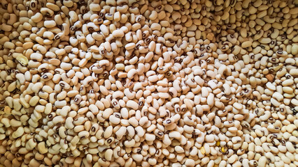 ํYellow soybean grain. Top view Soybean pattern as for background. Raw dehydrated soybeans texture background top view.