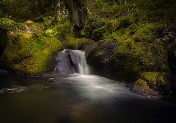 Cascada en el bosque