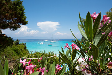 Rocky beach scene with turquoise waters of the Mediterranean Sea, boats anchored in the bay and pink flowers in the foreground, on the island of Antipaxos in Greece. Selective focus