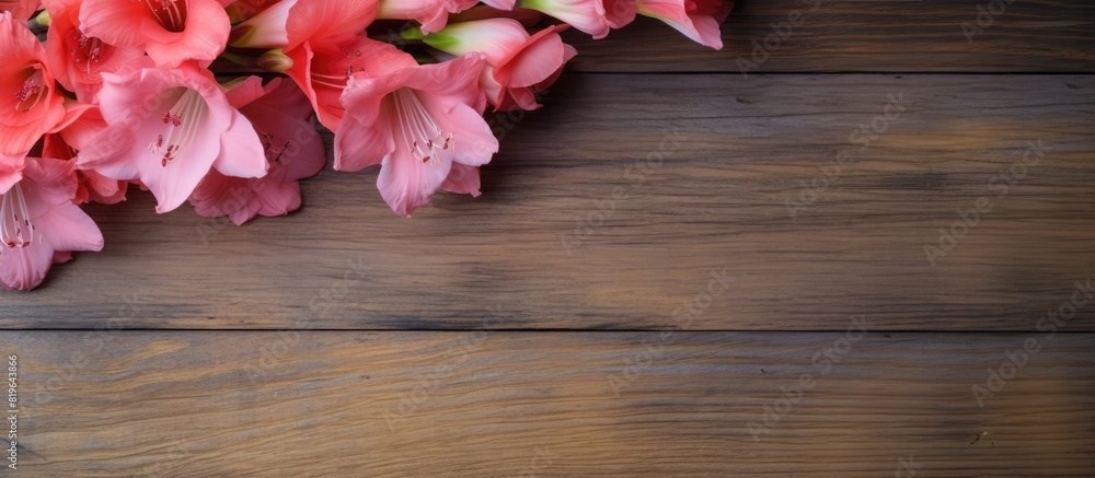 Poster gladiolus displayed on a rustic wooden surface with copy space image