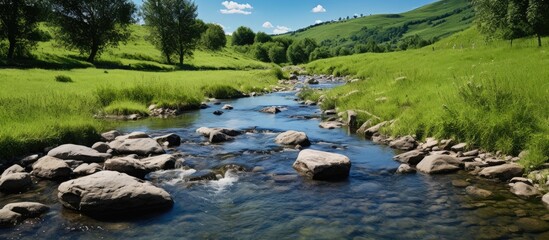 Mountain stream on a summer day with water foaming in the riverbed providing a source of moisture for drinking and irrigation set against rocks green grass and a serene natural backdrop in a copy spac