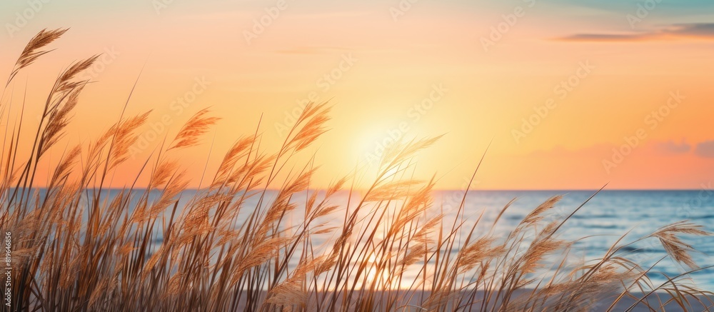 Poster a serene beach sunset viewed through the swaying tall grass creating a picturesque scene with copy s