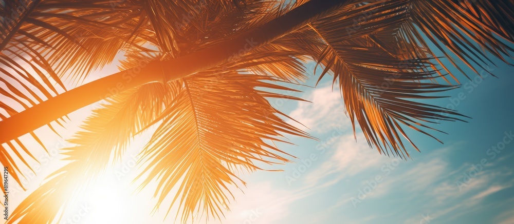 Poster Palm tree branches photographed from below against a sunset sky with sunlight filtering through the leaves creating a beautiful travel themed copy space image