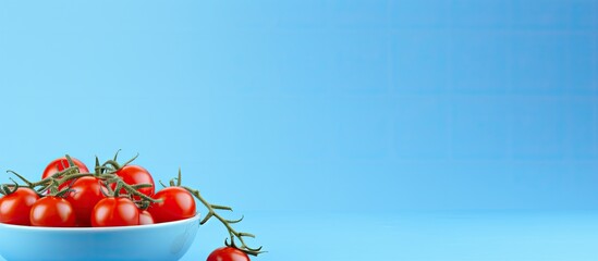Blue background with a bowl of fresh cherry tomatoes featuring copy space image