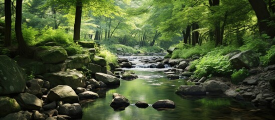A serene small stream with clear water surrounded by stones trees and lush greenery creating a tranquil scene with copy space image - Powered by Adobe