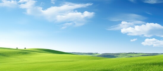 Fototapeta na wymiar Scenic landscape with lush green grass stretching under a clear blue sky giving an impression of vastness and tranquility ideal as a copy space image