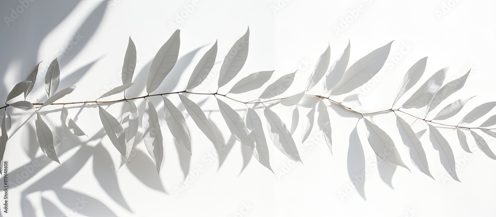 Poster a leaf shadow from tropical trees creates a dappled effect on a white wall perfect as a background f