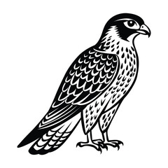 Fototapeta premium silhouette of a falcon illustration 