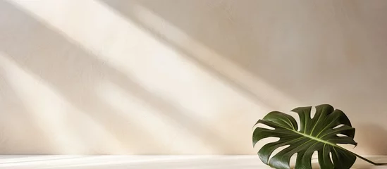 Fototapete Badezimmer Minimal summer concept with a monstera palm leaf casting a harsh shadow on a white table against a beige wall creating a serene and natural copy space image  © Ilgun