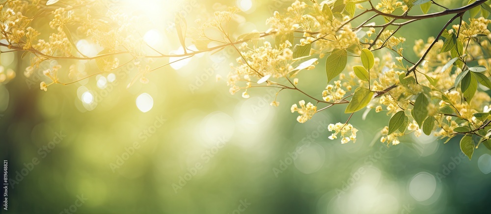Poster sunlight filters through blurry golden rays casting a soft sparkle on spring branches of old green t
