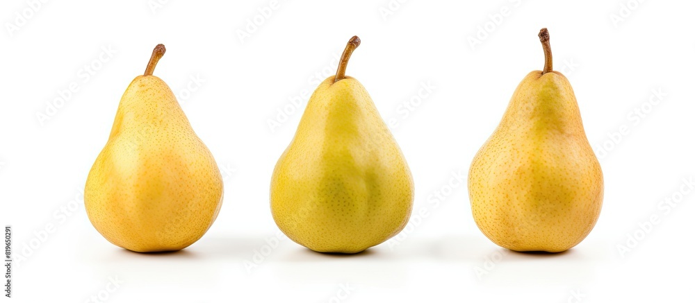 Poster three ripe packham pears arranged at various angles on a white background with copy space image