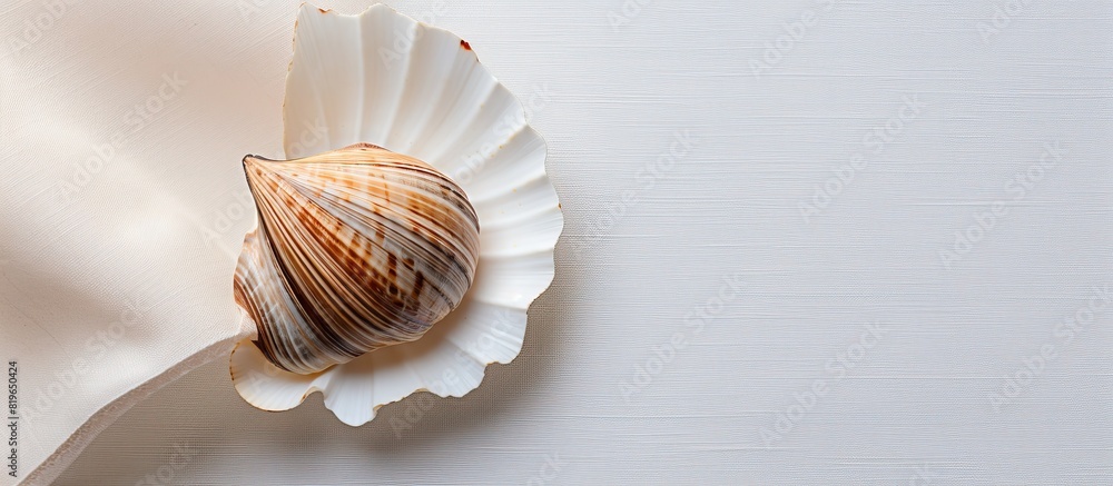 Poster a seashell on a brown and white napkin background symbolizing a simple summer theme with space for t