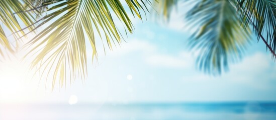 Fototapeta premium Scenic view of a blurred blue sky and sea with bokeh lights and coconut palm tree leaves in a tropical summer landscape conveying a summer vacation theme with copy space image