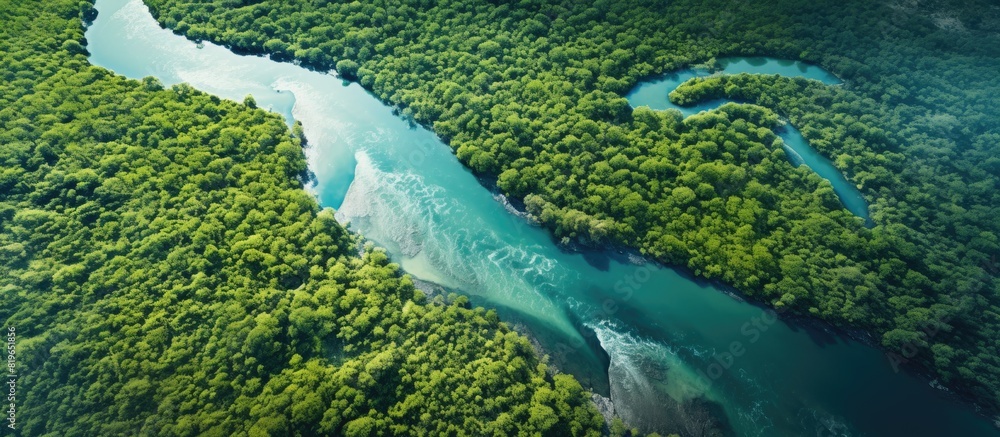 Aufkleber aerial view of a natural river winding through a forest with a vast expanse of copy space image visi