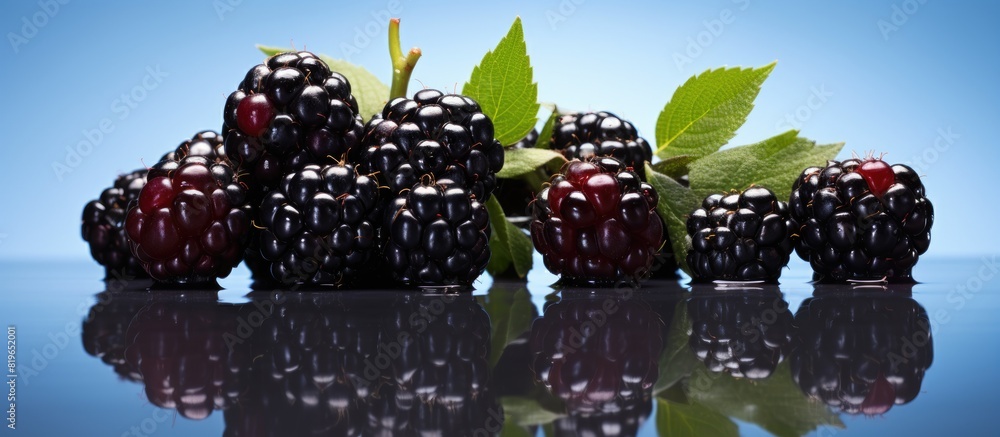 Aufkleber blackberry berries on a mirror with reflections and a blurred backdrop creating an artistic copy spa