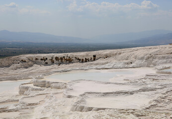 Natural thermal pools surrounded by white limestone in Pamukkale, Denizli, Turkey