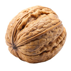 shell of walnut on transparent background