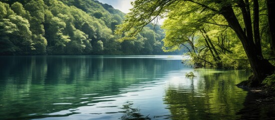 Fototapeta premium Scenic view of a tranquil aquamarine lake surrounded by lush green forest perfect for a natural copy space image
