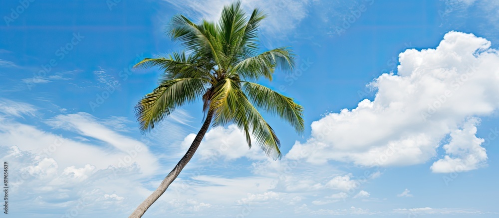 Poster seascape view of a coconut palm tree against a backdrop of blue sky with fluffy clouds ideal for a c