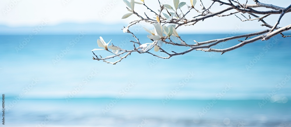 Aufkleber blurry sea background with soft focused branch and gentle light on top ideal for a copy space image