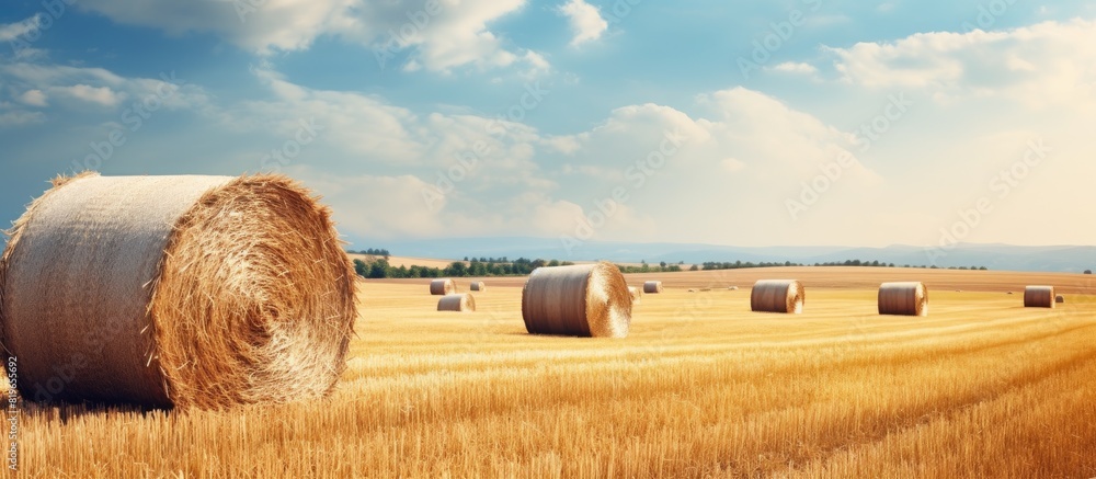 Poster harvesting hay bales in a picturesque golden field landscape with round bales and space for text or 