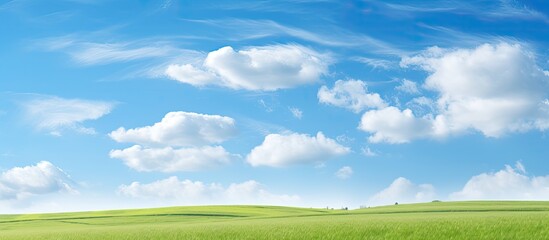 Nature landscape under a vast blue sky featuring a serene copy space image