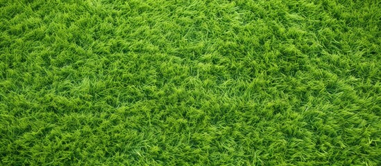 Artificial green grass background perfect for design concepts related to golf courses soccer fields and sports with copy space image