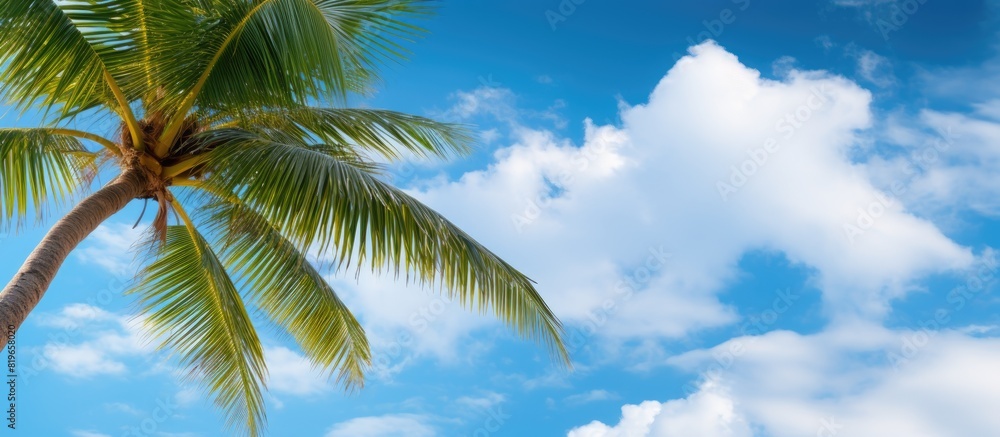Poster seascape view of a coconut palm tree against a backdrop of blue sky with fluffy clouds ideal for a c