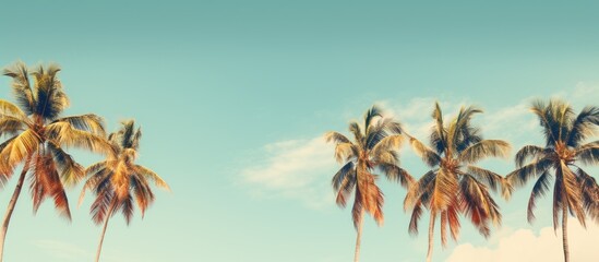 Vintage styled palm trees against a blue sky at a tropical coast create a retro summer vibe in this...