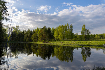 Fototapeta premium A pond in the forest, a colorful landscape with bright spring greenery, large trees on the shore near a pond, sunlight.