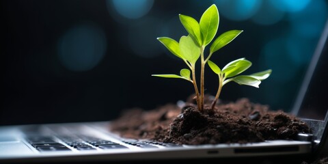 A green plant sprouts from a laptop keyboard. Eco system concept, sustainability. Generative AI.