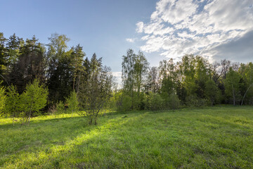 Spring evening landscape, Peace of nature, calm soft sunlight on young green grass