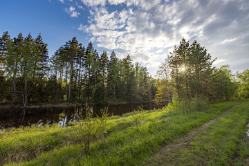 spring landscape with bright sunlight, peaceful nature in the evening light