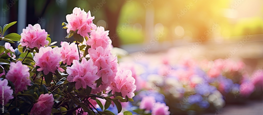 Poster The blooming flowers in the garden make a beautiful copy space image