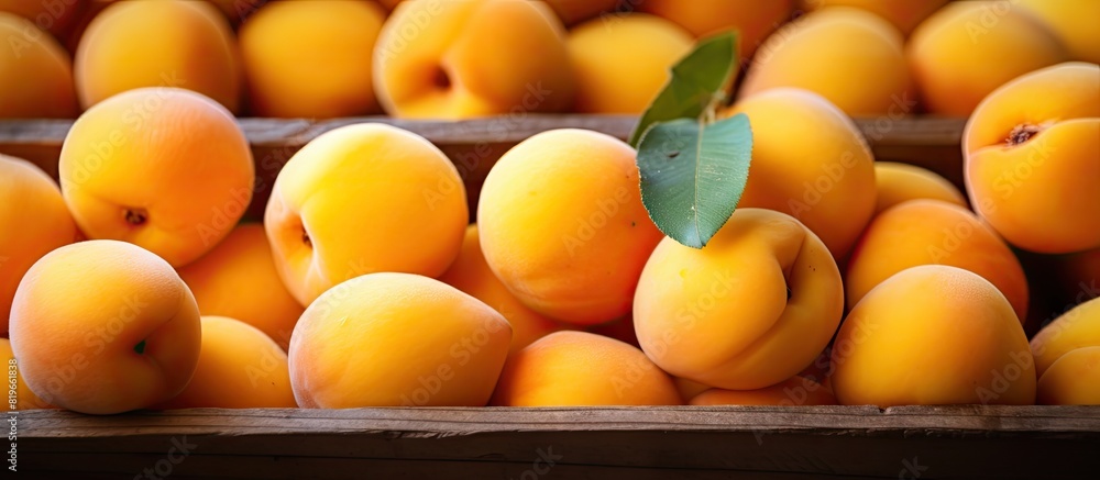 Poster close up of fresh apricots ripe and ready to eat displayed in a box at a market with copy space imag