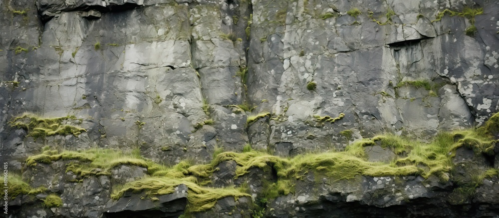 Poster close up image of rugged gray textured cliff covered in moss and lichens creating a stunning backgro