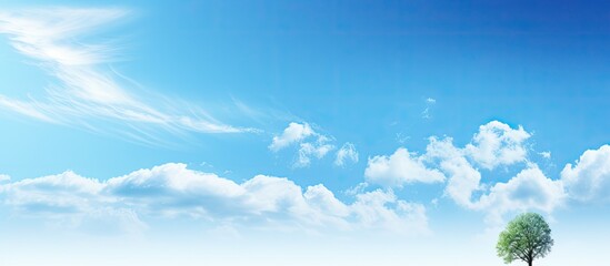 Fototapeta premium Sunny day with a clear blue sky and copy space image