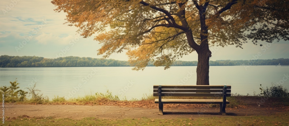 Poster a bench and tree in the park with a big lake in the background on a cloudy autumn day featuring a vi