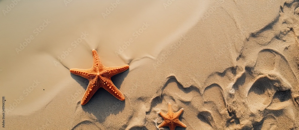 Aufkleber a top down view of a starfish resting on the sandy shore of a beach during the summer with ample cop