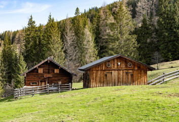 Two wooden huts with grassland in front and trees in background in the mountain alps