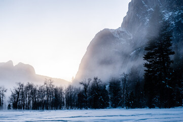 Late afternoon in Yosemite valley as the sun is setting. Yosemite national park, California.