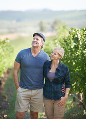 Couple, vineyard and agriculture for mature people, farm or wine production in winery. Grapes,...